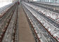 Rangées bon marché des prix 3 96 cages de poulet de volaille de la Zambie de couche de batterie d'oeufs d'oiseaux