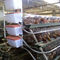 La vente chaude a galvanisé automatique un type poulet met en cage la volaille de couche pour l'équipement de ferme