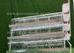 Longues cages galvanisées à chaud de poulet de couches de durée de vie pour le bâtiment d'aviculture