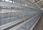 La grande capacité a galvanisé la couche automatique Hen Cages For 160 poulets