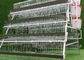 Capacité de poulets de la ferme avicole 96 de cage de batterie de couvée de couche d'oeufs par ensemble
