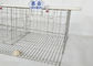 Batterie de cage de poulet de couche d'équipement de production animale de HDG