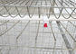 Cages galvanisées plongées chaudes pour le certificat de la CE d'oiseaux des portes 96 des rangées 4 du poulet 3