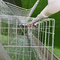 Cage en acier de poulet de couche de fil galvanisée 96 par oiseaux automatique dans la ferme avicole