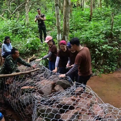 le mur de soutènement de panier de Gabion de taille de 6*2*0.3m a galvanisé