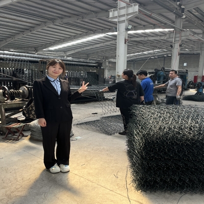 Vente à chaud en plongée chaude galvanisée en gabion panier de pierre boîte pour la protection aux Philippines, en Malaisie, en Indonésie