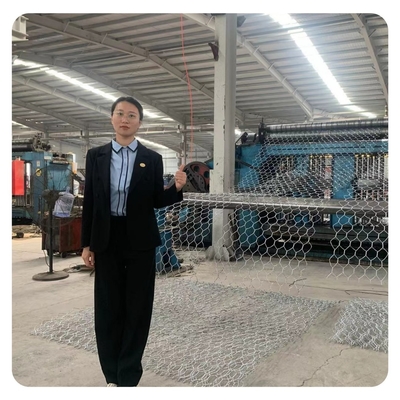 Fil galvanisé par matelas hexagonal Mesh Gabion Basket 1x1x1 de zinc