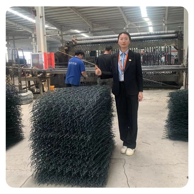 Chaud plongé a galvanisé la cage matérielle de pierre de Gabion facile installe