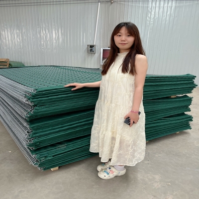 Bastion défensive galvanisée de barrière de la cage 5mm en métal pour la protection