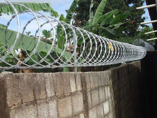 Vente à chaud en acier inoxydable galvanisé fil barbelé longueur par rouleau en Afrique du Sud