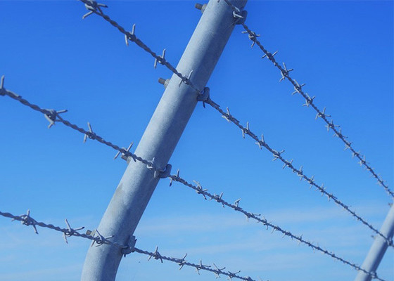 Installation personnalisée d'une bande de protection en fil de fer barbelé galvanisé à chaud pour la sécurité des prisons
