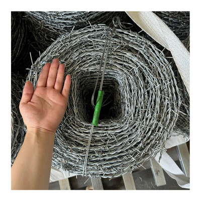 12#*14# fil barbelé galvanisé pour clôtures de sécurité