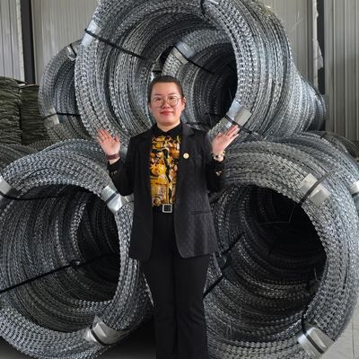 Egoza Concertina Razor Barbed Fence Solution de défense du périmètre ultime