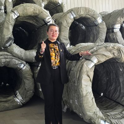 Egoza Concertina Wire Fencing Razor Barbed Barbed Protection pour les sites critiques