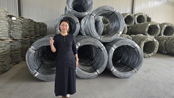 KN Vente à chaud Mesh de fil de barbe à barbe galvanisé à chaud, adapté aux prisons/aéroports