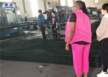 2 le PVC du × 0,3 du × 2 a enduit l'installation facile de preuve de temps de boîte de Gabion