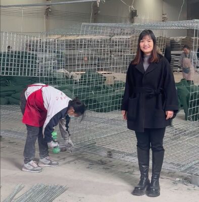 Mil 1 Armée barrière défensive protection murale galvanisée revêtue de géotextile prix de la barrière hesco