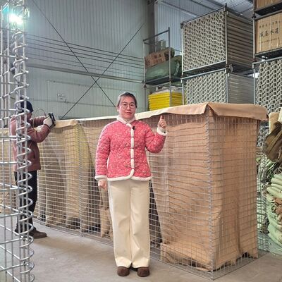 Barrière défensive de 1 mil Barrière Hesco galvanisée maillage soudé préfabriqué contrôle des inondations fortifications militaires assemblage facile