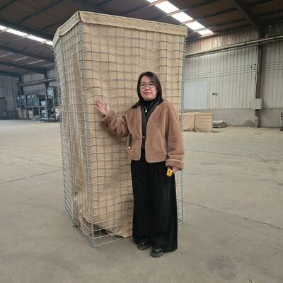 Barrière militaire Hesco Bastion Fil de maille en gabion Boîte avec fil de corde en spirale et diamètre de fil épais pour une meilleure stabilité