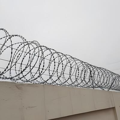 50 cm de bande en acier inoxydable en coil Concertina BTO-16 Barbed Wire