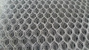 Grillage hexagonal de digue de protection de panier résistant de Gabion prenant Gabion au filet