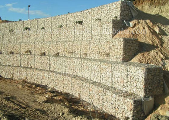 Cages galvanisées de mur de Gabion de contrôle d'érosion d'immersion chaude